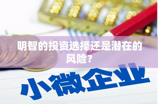 兴宁明智的投资选择还是潜在的风险？