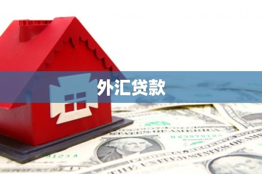 兴宁外汇贷款