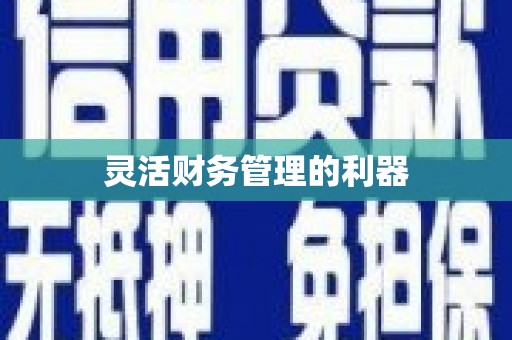 兴宁灵活财务管理的利器