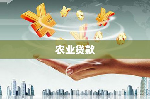 兴宁农业贷款