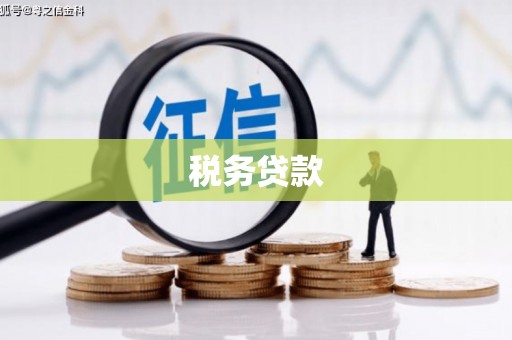 兴宁税务贷款