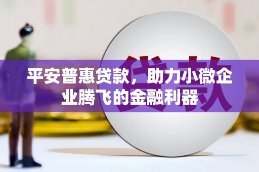 兴宁平安普惠贷款，助力小微企业腾飞的金融利器
