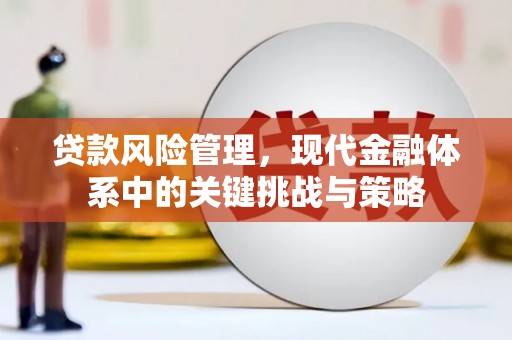 兴宁贷款风险管理，现代金融体系中的关键挑战与策略