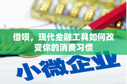 兴宁借呗，现代金融工具如何改变你的消费习惯