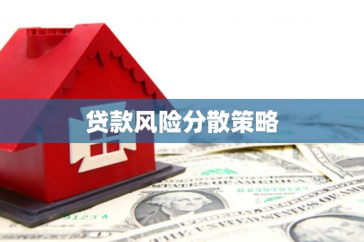 兴宁贷款风险分散策略