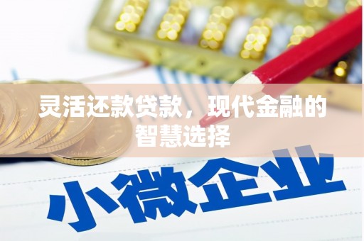 兴宁灵活还款贷款，现代金融的智慧选择