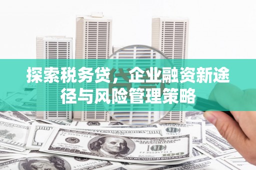兴宁探索税务贷，企业融资新途径与风险管理策略
