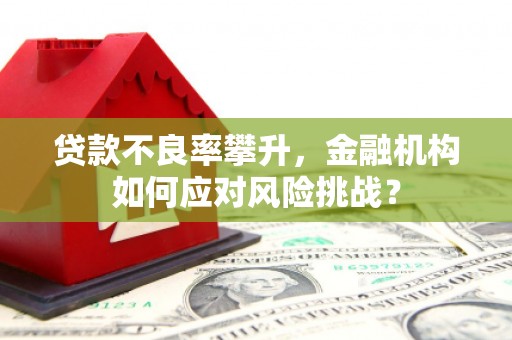 兴宁贷款不良率攀升，金融机构如何应对风险挑战？