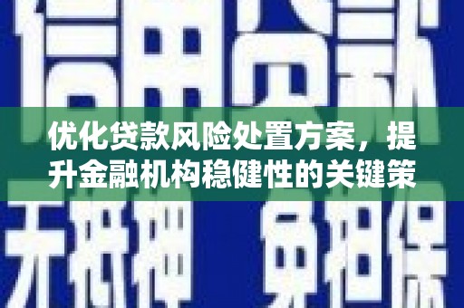 兴宁优化贷款风险处置方案，提升金融机构稳健性的关键策略