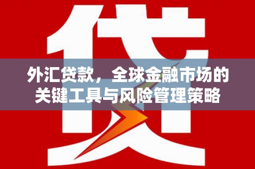 兴宁外汇贷款，全球金融市场的关键工具与风险管理策略