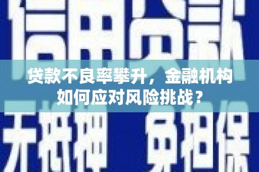 兴宁贷款不良率攀升，金融机构如何应对风险挑战？