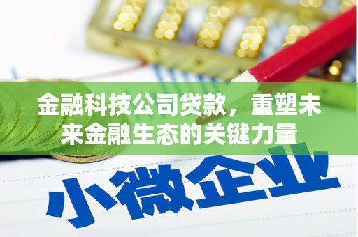 兴宁金融科技公司贷款，重塑未来金融生态的关键力量