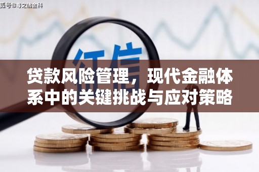兴宁贷款风险管理，现代金融体系中的关键挑战与应对策略