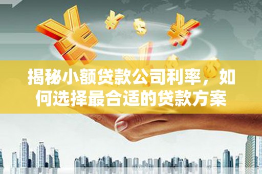 兴宁揭秘小额贷款公司利率，如何选择最合适的贷款方案