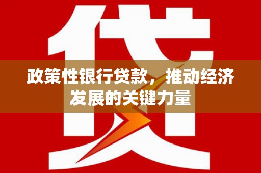 兴宁政策性银行贷款，推动经济发展的关键力量