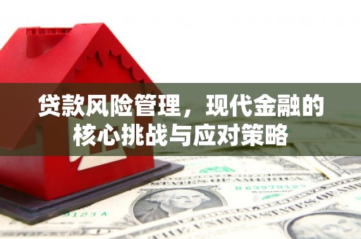 兴宁贷款风险管理，现代金融的核心挑战与应对策略