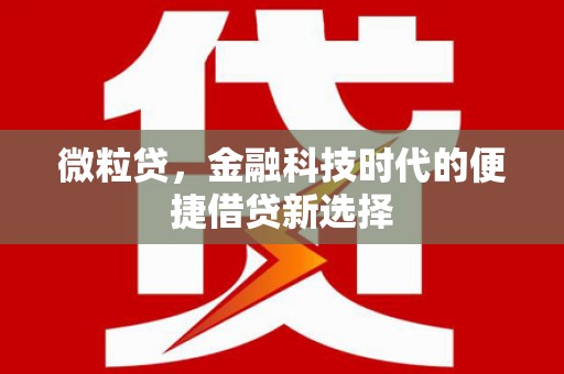 兴宁微粒贷，金融科技时代的便捷借贷新选择