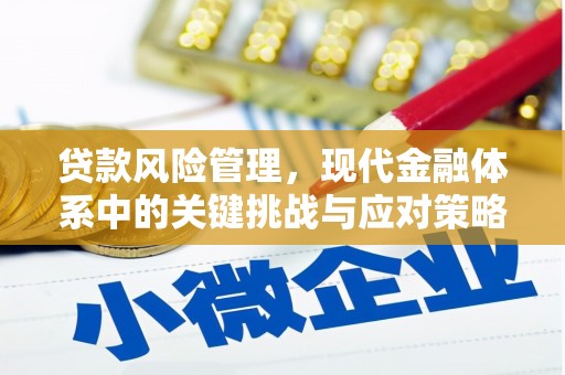 兴宁贷款风险管理，现代金融体系中的关键挑战与应对策略