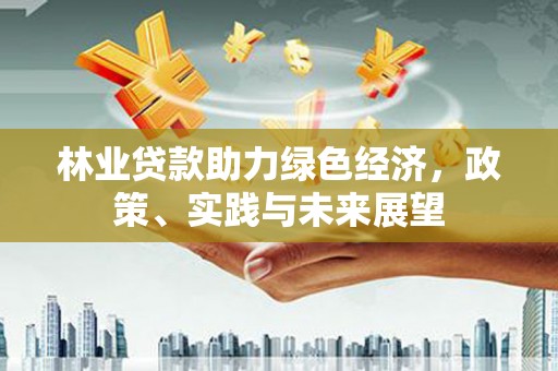 兴宁林业贷款助力绿色经济，政策、实践与未来展望